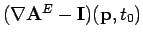 $(\nabla \mathbf{A}^E-{\mathbf{I}})({\mathbf{p}},t_0)$